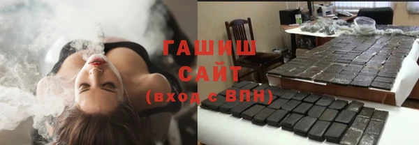 хмурый Ельня